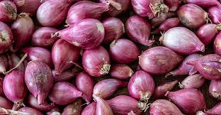 bawang merah - uma